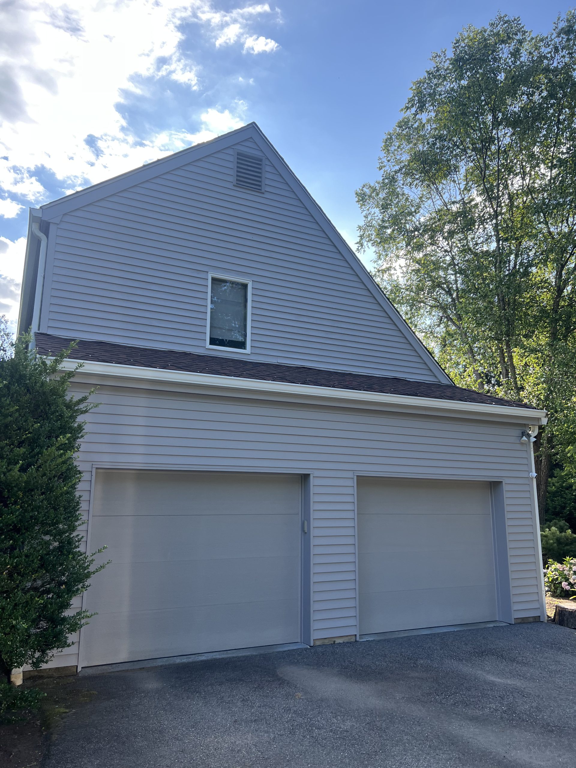 professional painting services