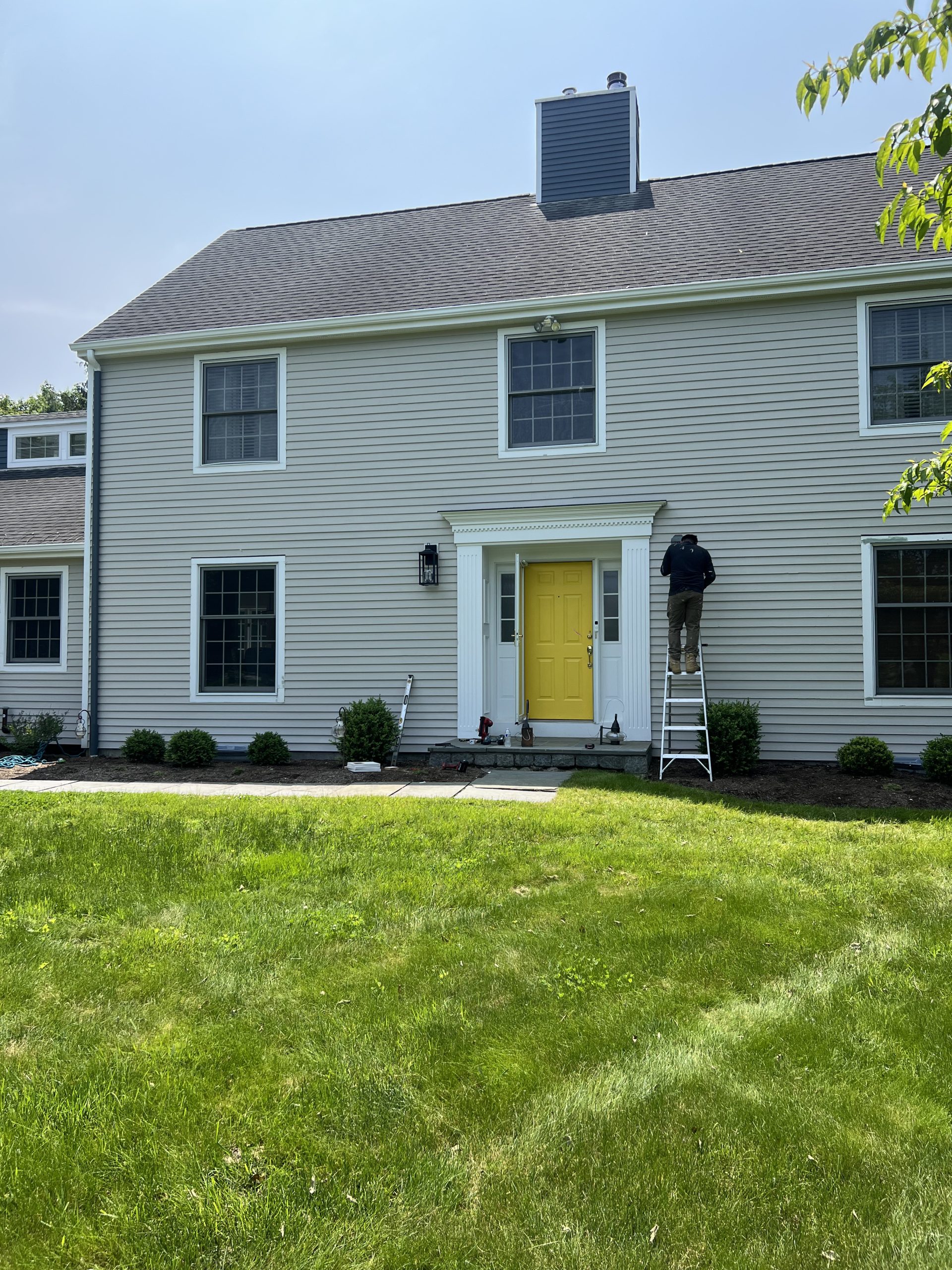 professional painting services
